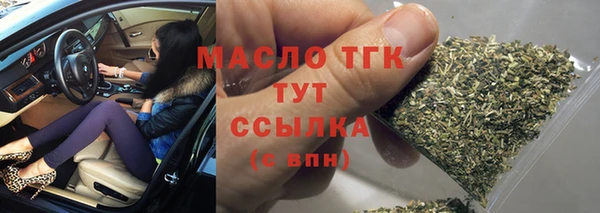 дживик Надым