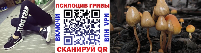 Псилоцибиновые грибы Psilocybe  МЕГА tor  Иваново  купить закладку 