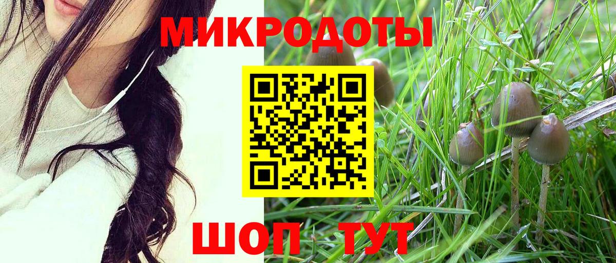 Галлюциногенные грибы Cubensis Иваново