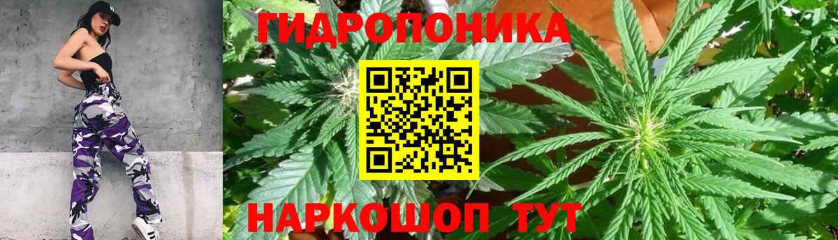 Марихуана Bruce Banner  Бошки Шишки LSD WEED  Иваново  Каннабис конопля  Конопля тримм 